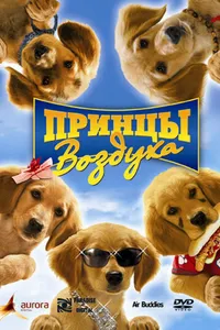 Постер к фильму Принцы воздуха 2006