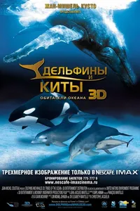 Постер к фильму Дельфины и киты 3D 2008