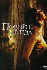 Постер к фильму Поворот не туда 3 2009