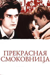 Постер к фильму Прекрасная смоковница 2008