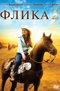 Постер к фильму Флика 2 2010