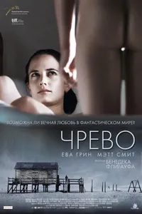 Постер к фильму Чрево 2010