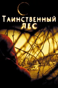 Постер к фильму Таинственный лес 2004