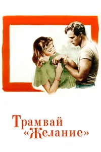 Постер к фильму Трамвай «Желание» 1951