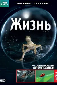 Постер к сериалу 