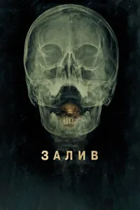 Постер к фильму Залив 2012