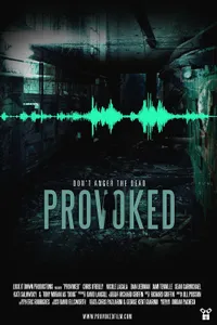 Постер к фильму Provoked 2016