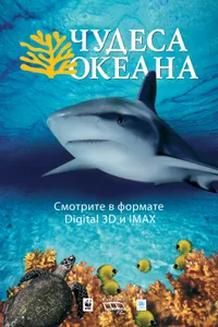 Постер к фильму Чудеса океана 3D 2003