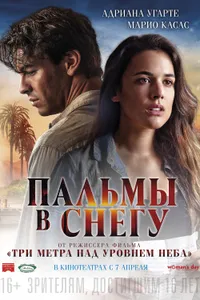 Постер к фильму Пальмы в снегу 2015