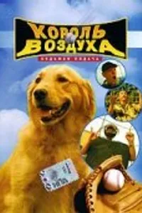 Постер к фильму Король воздуха: Седьмая подача 2002